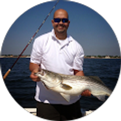 Profile photo of Gustavo DaSilva