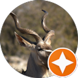 Profile photo of Chase Holloway