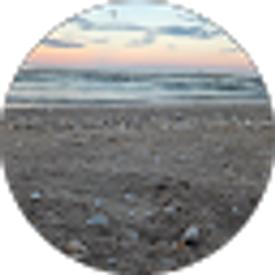Profile photo of Elena Seal