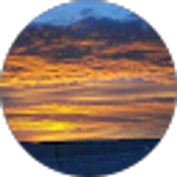 Profile photo of Lorenzo