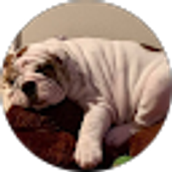 Profile photo of Felicia Aviles-Hall