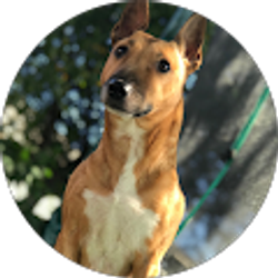 Profile photo of Diane Grubbs