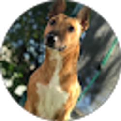 Profile photo of Diane Grubbs