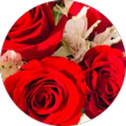 Profile photo of Liza Marie Noyola