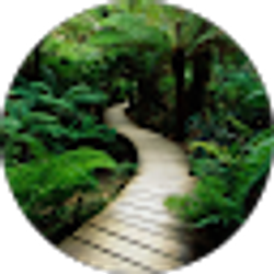 Profile photo of Chad C