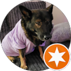 Profile photo of Tony Marcin