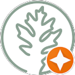 Profile photo of Marc-Cameron Kossow