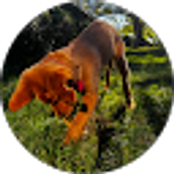 Profile photo of Marshall
