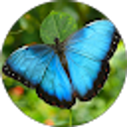 Profile photo of Lynda Voll