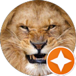 Profile photo of steve vill