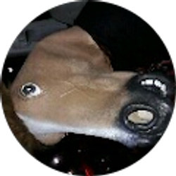 Profile photo of trigger happy