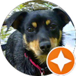 Profile photo of shary woodard