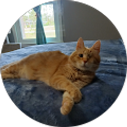 Profile photo of Tasha Spradley