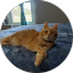 Profile photo of Tasha Spradley