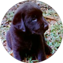 Profile photo of David Nielsen