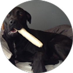 Profile photo of frappiccinno