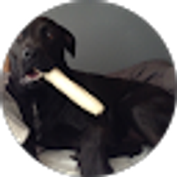 Profile photo of frappiccinno