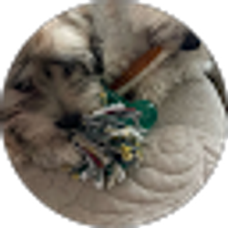 Profile photo of donna picard