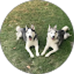 Profile photo of Joseph Blake Hollier