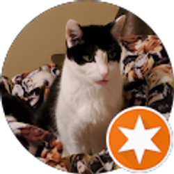 Profile photo of Marci