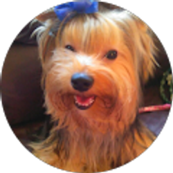 Profile photo of Christine Anderson