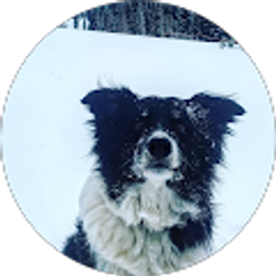 Profile photo of maxx nehser