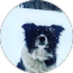 Profile photo of maxx nehser