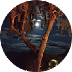 Profile photo of Doug