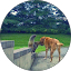 Profile photo of Randy Pavan