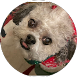 Profile photo of Marcy Cooper