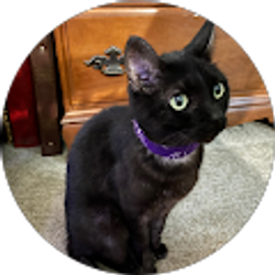 Profile photo of Chris Caughey