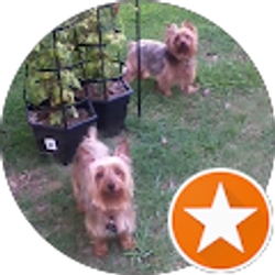 Profile photo of Telea Emmert