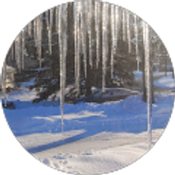 Profile photo of Jian Mu