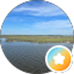 Profile photo of Villages FL
