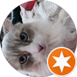 Profile photo of Mary Contrary