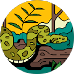 Profile photo of Damare Lawson