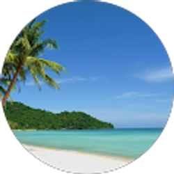 Profile photo of Phan Phu