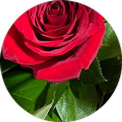 Profile photo of Nina Phillips