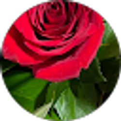 Profile photo of Nina Phillips