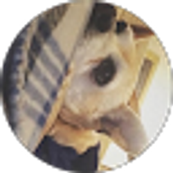 Profile photo of sophia a