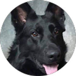 Profile photo of George Keesling