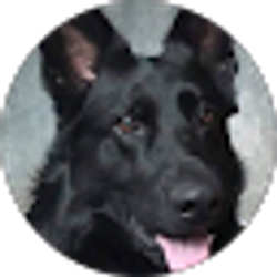 Profile photo of George Keesling