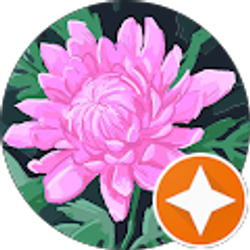 Profile photo of Taleya P