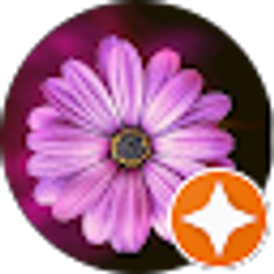 Profile photo of Lisa Davis