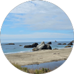 Profile photo of Glenna T Stewart