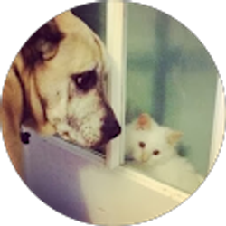 Profile photo of Eli Mattoon