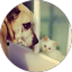 Profile photo of Eli Mattoon