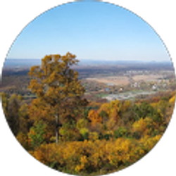 Profile photo of Paulo Correia