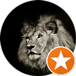 Profile photo of Karla Martinez (SpitShine)