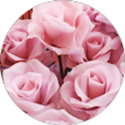 Profile photo of Eunice Oh